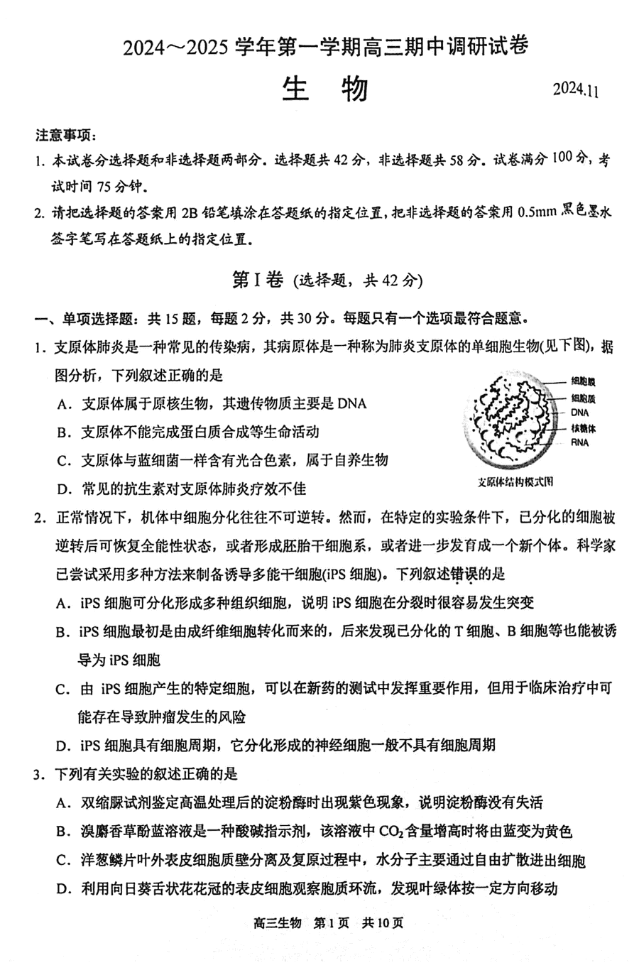 苏州2024-2025学年高三上学期11月期中生物试卷及参考答案