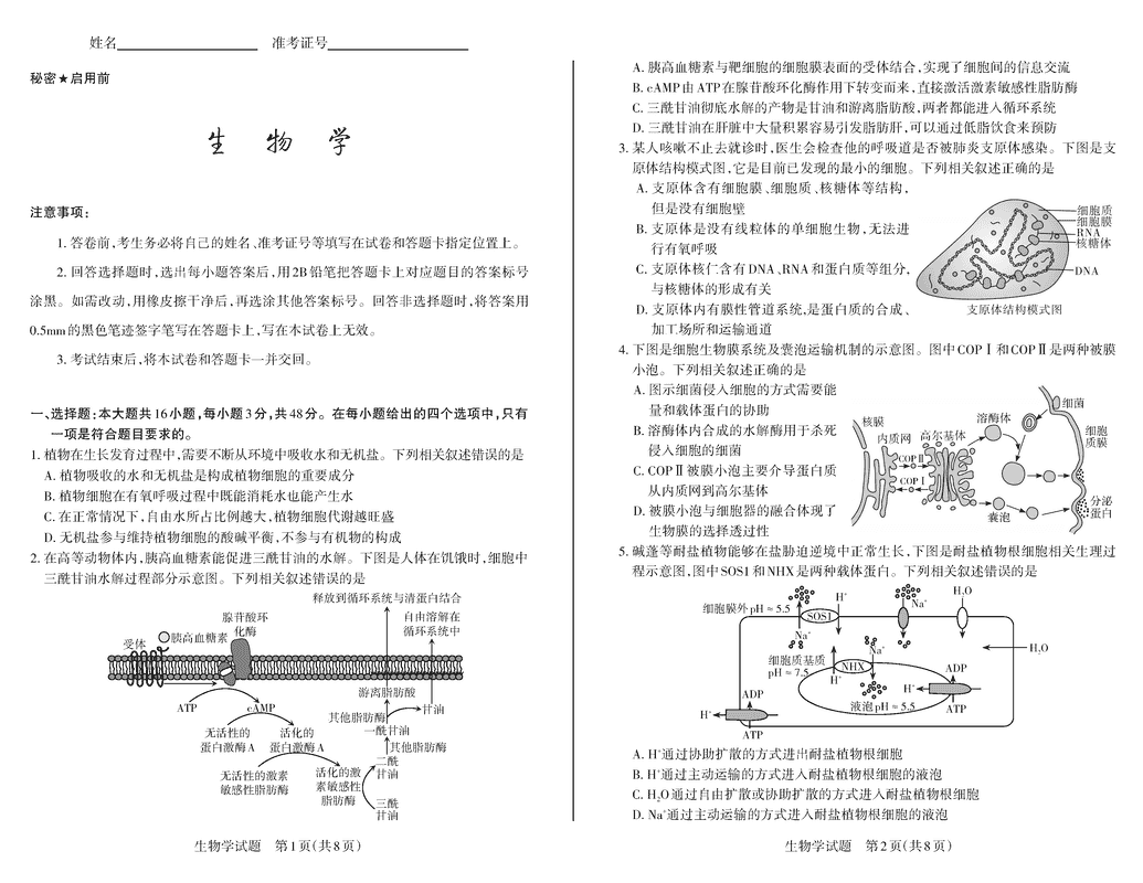 山西思而行2025届高三备考核心模拟中期生物试卷及参考答案