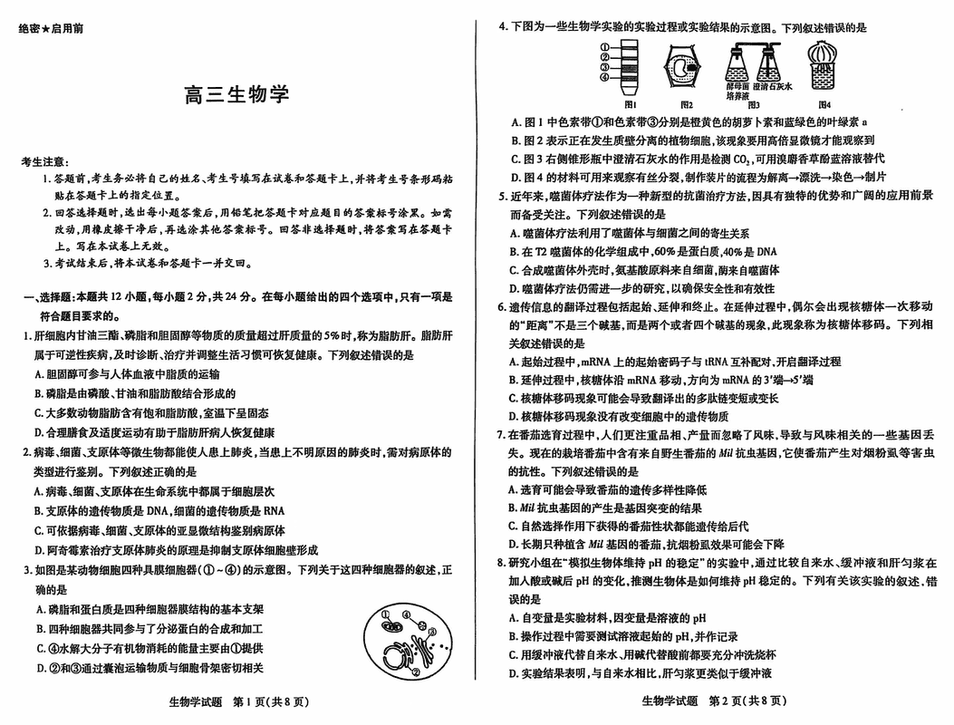 湖南天一大联考2025届高三上学期11月联考生物试卷及参考答案