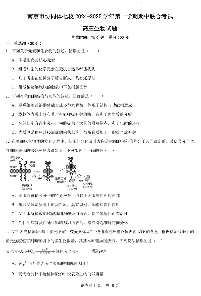 南京协同体七校2025届高三期中联考生物试卷及参考答案