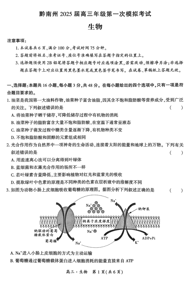 贵州黔南州025届高三第一次模考生物试卷及参考答案