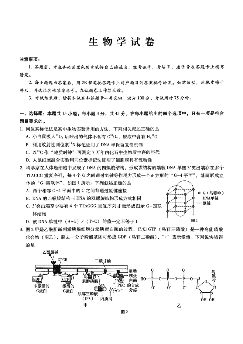 重庆巴蜀中学2025届高三12月适应性月考（四）生物试卷及参考答案