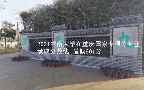 2024中南大学在重庆国家专项分专业录取分数线 最低601分