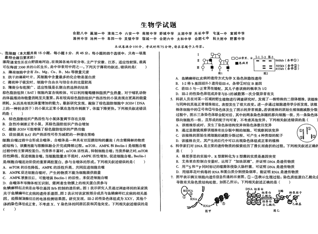 安徽省A10联盟2025届高三下学期开年考生物试卷及参考答案