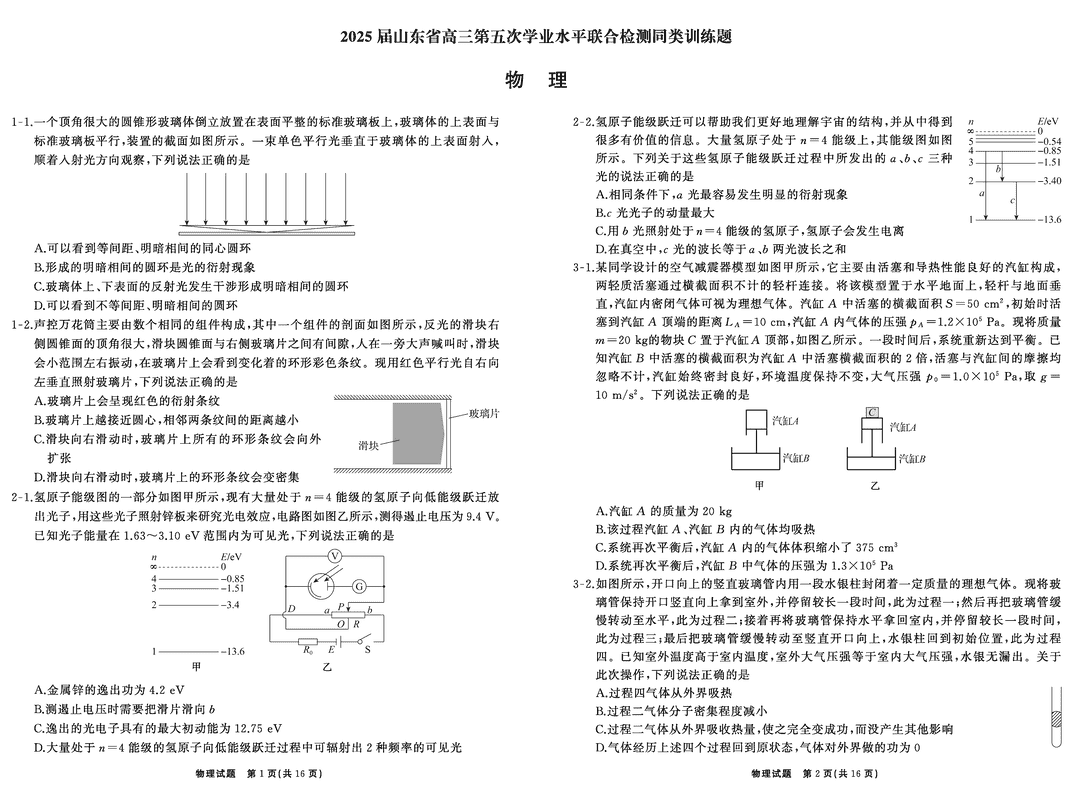 山东齐鲁名校2025届高三下学期第五次学业水平联合检测物理试卷及参考答案