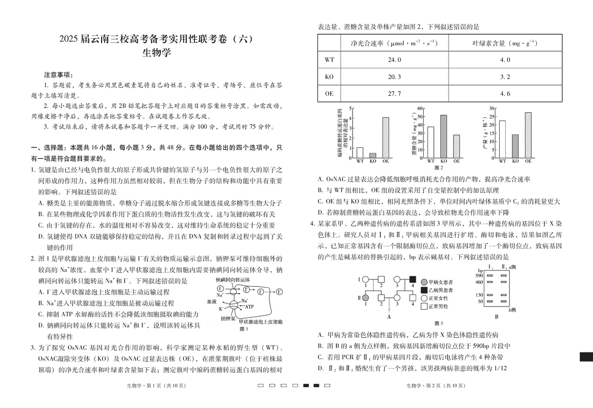 云南省三校2025届高三下高考备考实用性联考卷（六）生物试卷及参考答案