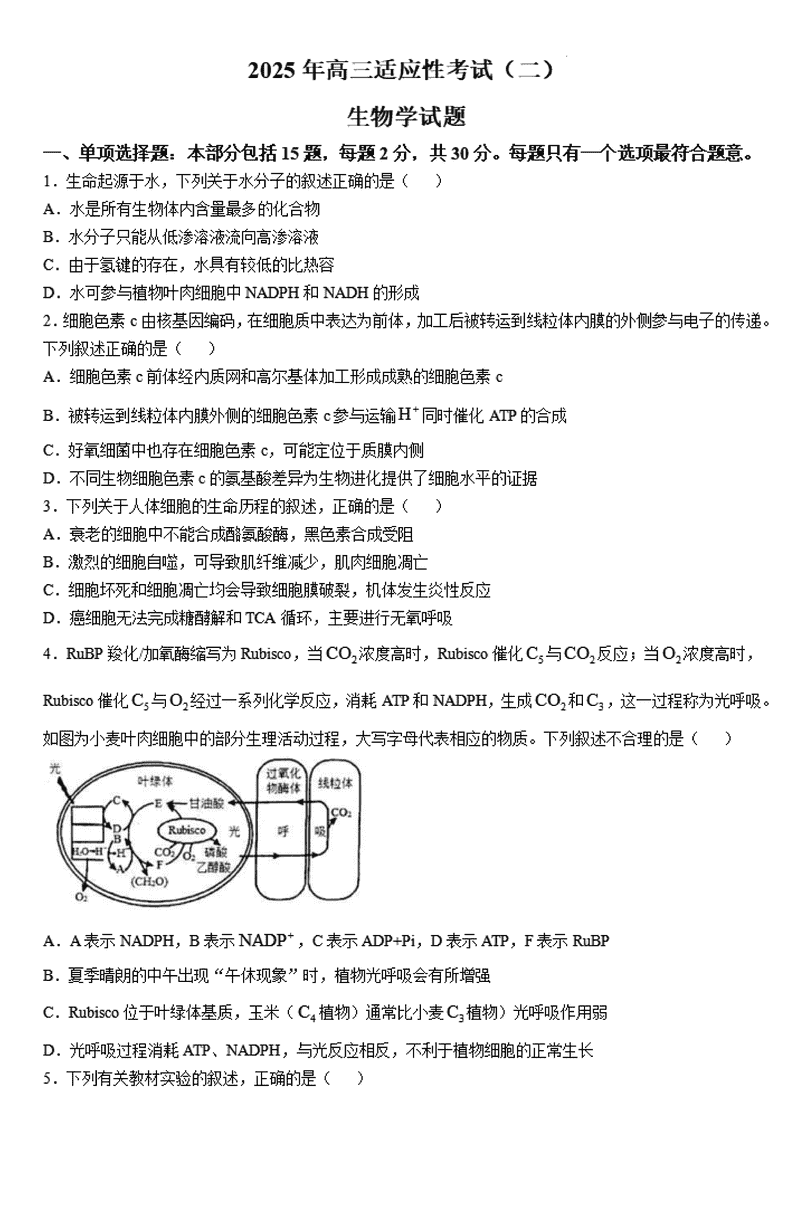 南通市如皋市2025届高三适应性考试（二）生物试卷及参考答案