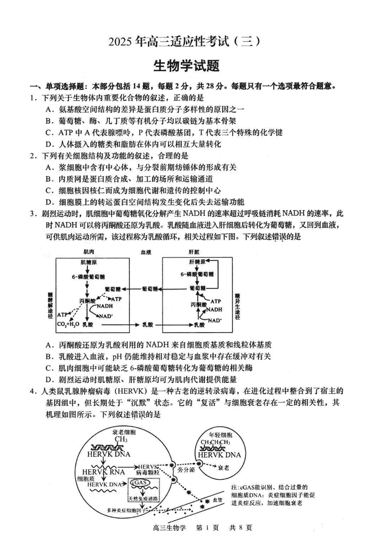 南通如皋2025年高三适应性考试（三）生物试卷及参考答案