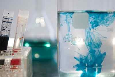 2025年570分能考生物科学专业吗 570分生物科学专业大学推荐