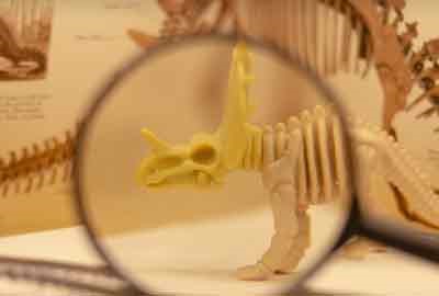 2025年424分能考生物技术专业吗 424分生物技术专业大学推荐