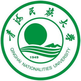 2025年青海民族大学艺术类招生简章