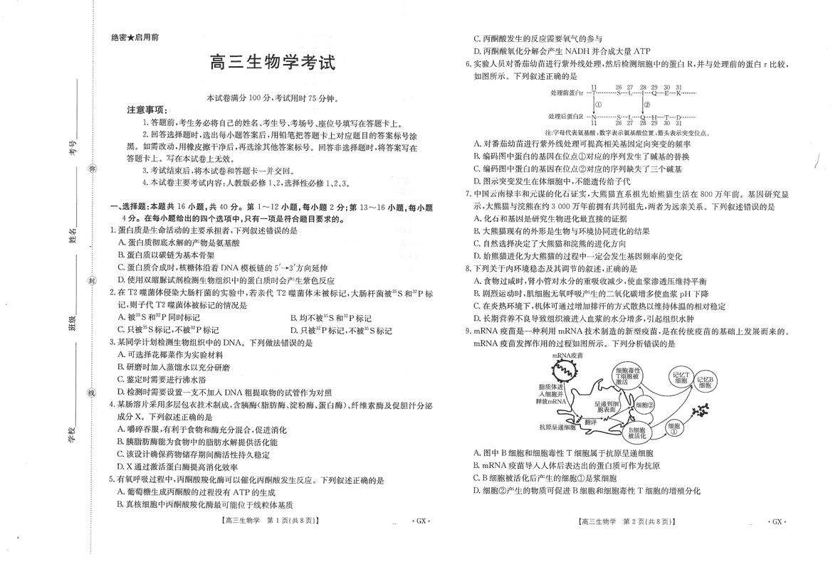 广西金太阳2026届9月高三联考生物试卷及参考答案