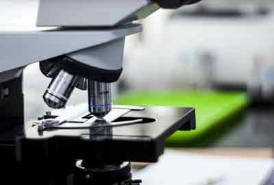 2026河北高考多少分能上甘肃林业职业技术大学及专业？最低366分附录取分数线