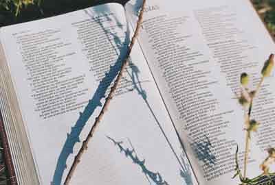 广州工商学院在安徽各专业组录取位次是多少 最低录取36520位（2026年参考）