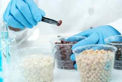 河北历化地366分左右可以上什么大学及专业 冲稳保院校推荐（2026参考）