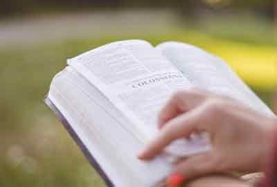 2026宁夏物理类644分左右能报哪些大学 可以上院校及位次(公办、民办)