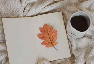 山东开设学前教育专业大学有哪些 相关专业推荐（2026参考）